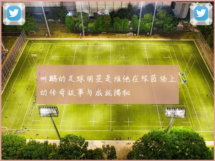 叫鹏的足球明星是谁他在绿茵场上的传奇故事与成就揭秘