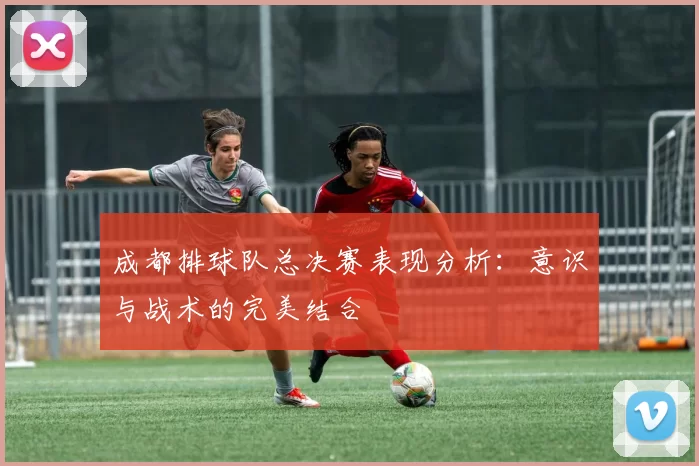 成都排球队总决赛表现分析：意识与战术的完美结合