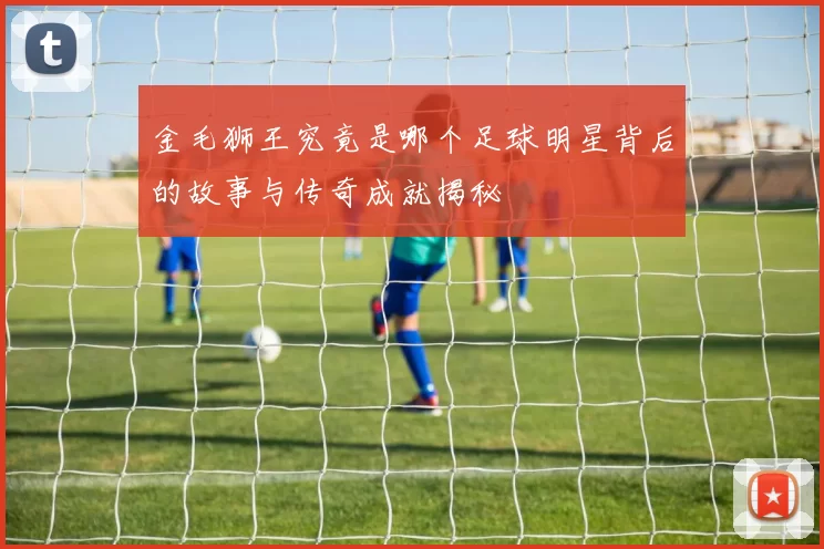金毛狮王究竟是哪个足球明星背后的故事与传奇成就揭秘