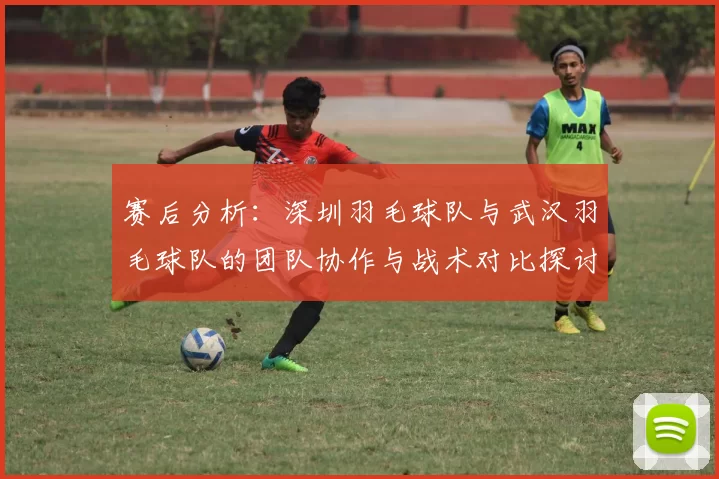赛后分析：深圳羽毛球队与武汉羽毛球队的团队协作与战术对比探讨