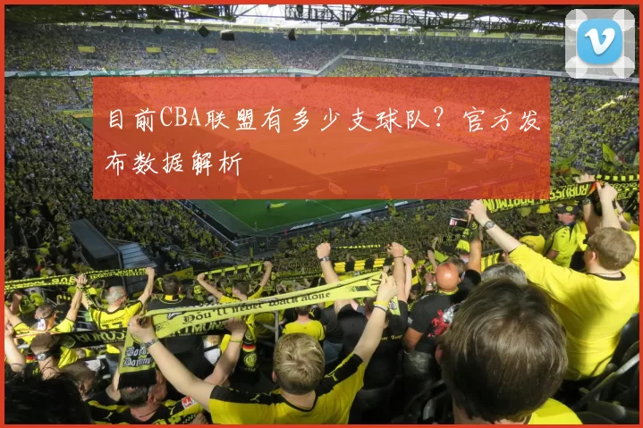 目前CBA联盟有多少支球队？官方发布数据解析