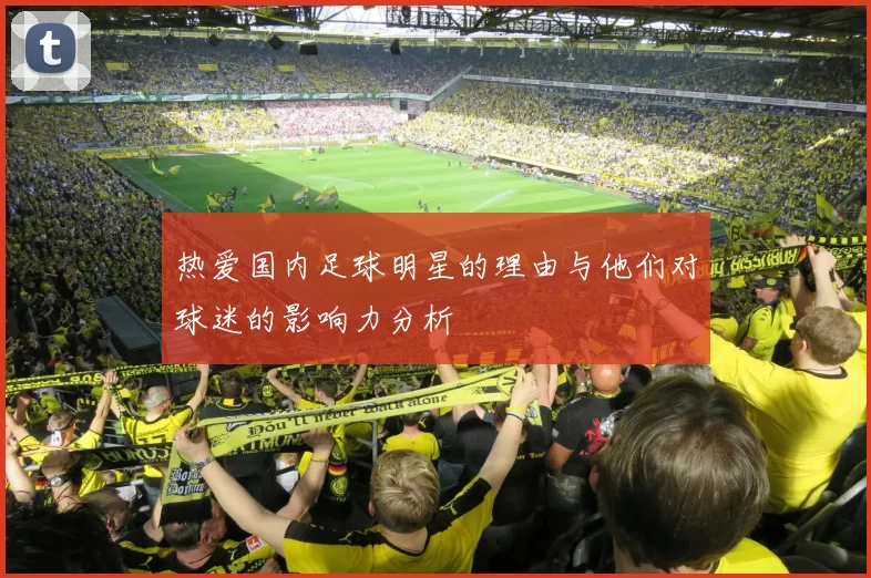 热爱国内足球明星的理由与他们对球迷的影响力分析