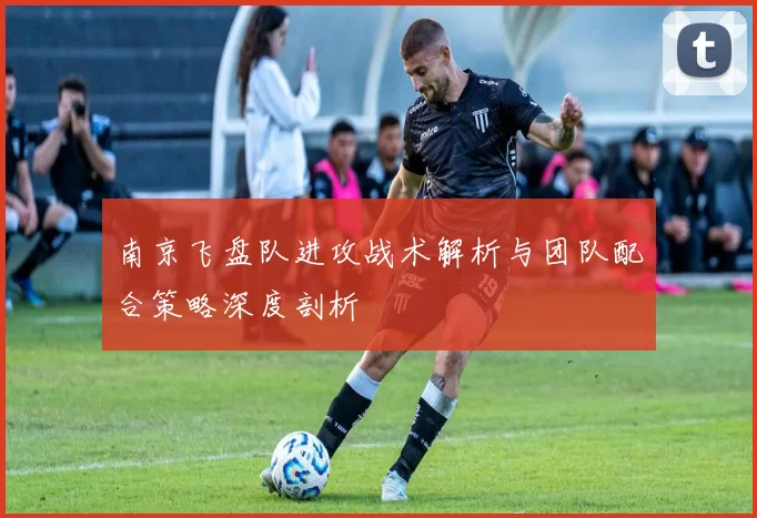 南京飞盘队进攻战术解析与团队配合策略深度剖析