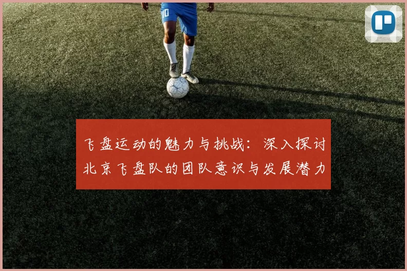 飞盘运动的魅力与挑战：深入探讨北京飞盘队的团队意识与发展潜力