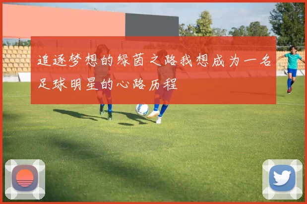 追逐梦想的绿茵之路我想成为一名足球明星的心路历程