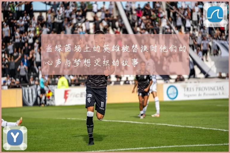 当绿茵场上的英雄被替换时他们的心声与梦想交织的故事